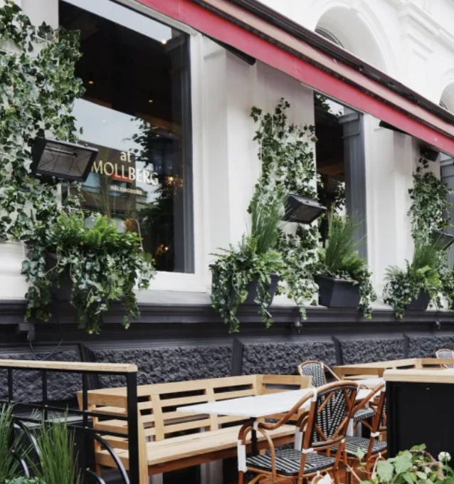 restaurang helsingborg at mollbergs
