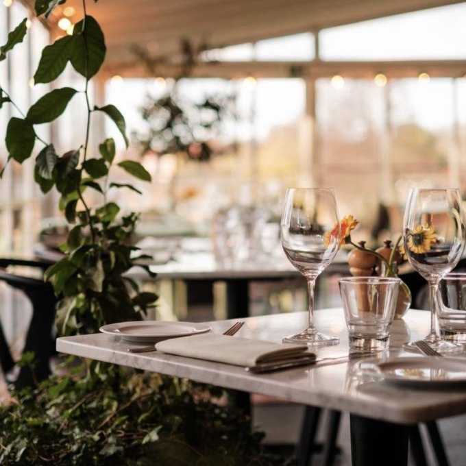 hundvänligt stockholm villa källhagen