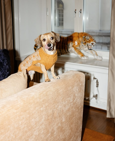 hundvanlig restaurang stockholm lydmar hotel