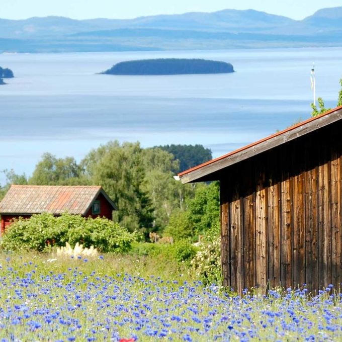 dalarnas-basta-restauranger-dalecarlia