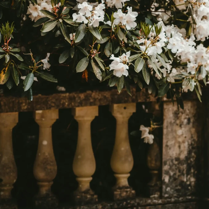 Sommarträdgården_göteborg_uteservering