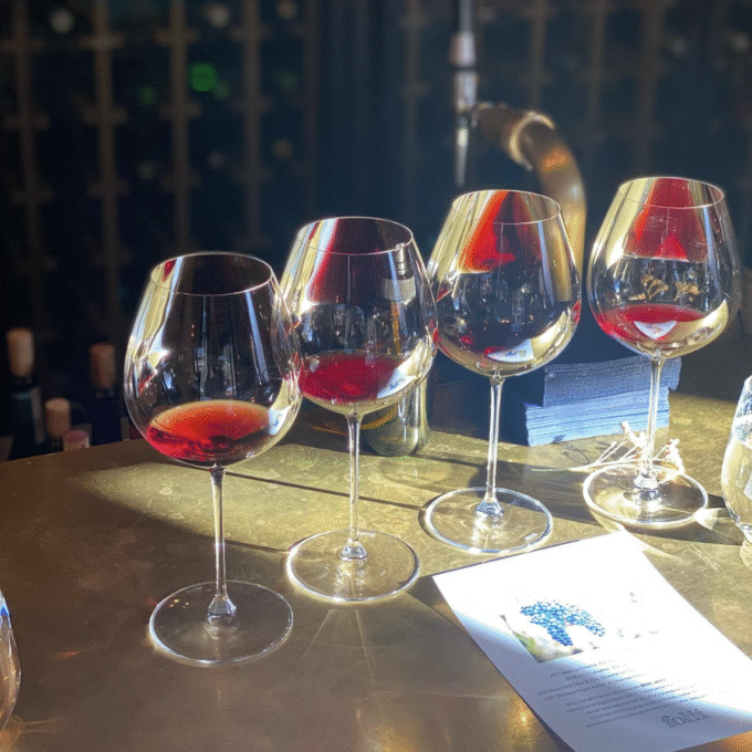 Beaujolais Nouveau stockholm voisine