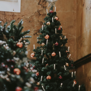 julbord dicksonska palatset