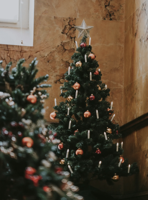 julbord dicksonska palatset