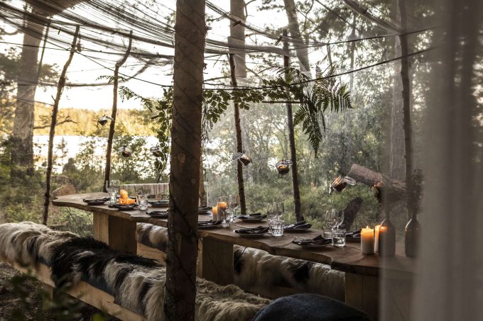 stedsans-in-the-woods-restaurant