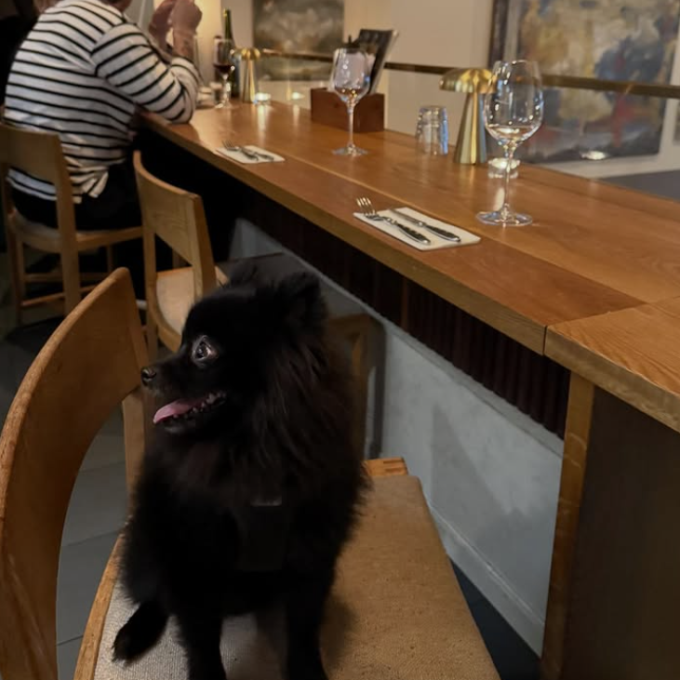Palavas_hundvanligt_gbg