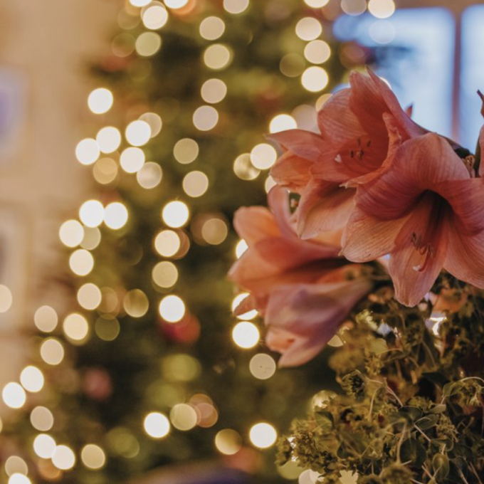 julbord slott herrgård värdshus ulfsunda slott