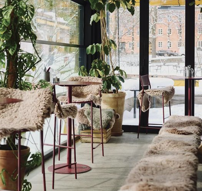 mysiga restauranger stockholm bleck