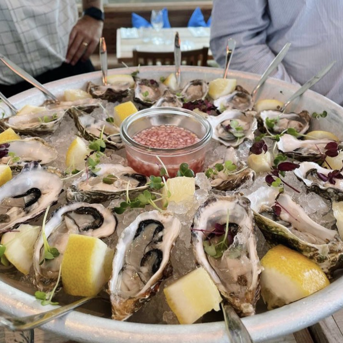 ostronets dag restaurang ostron stockholm ångbåtsbryggan