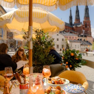 uteservering i uppsala guide