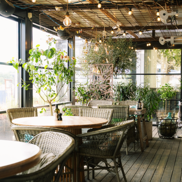 hundvanlig restaurang kungsholmen stockholm orangeriet