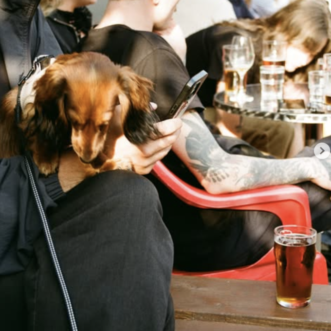 hundvanlig restaurang sodermalm bar europa