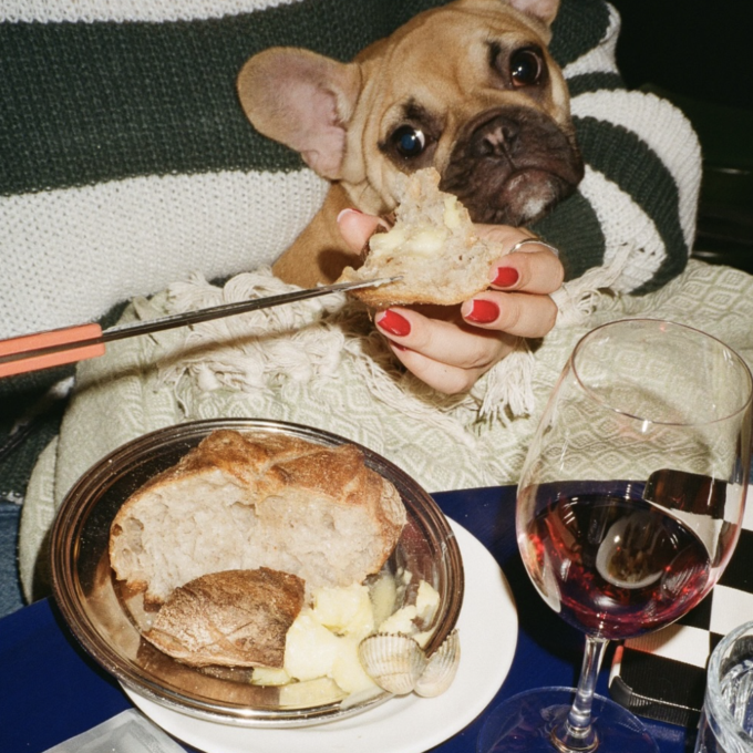 hundvanlig restaurang sodermalm cafe klotet