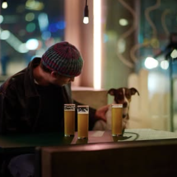 hundvanlig restaurang sodermalm pangpang festaurang