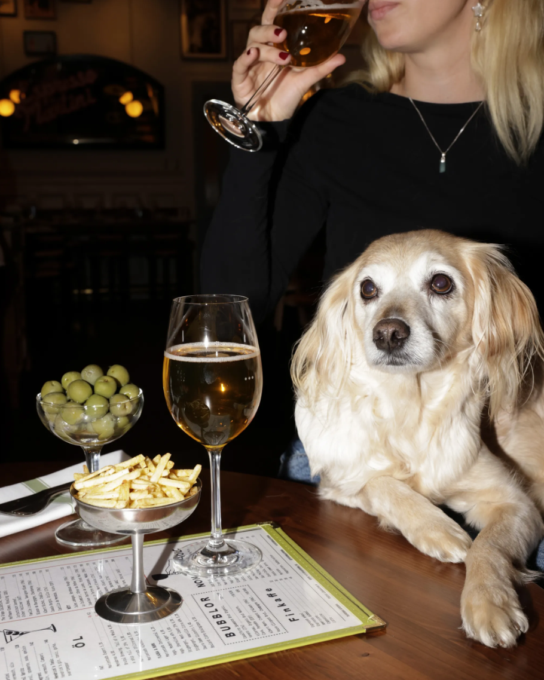 hundvanlig restaurang sodermalm stockholm